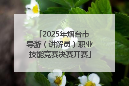 2025年烟台市导游（讲解员）职业技能竞赛决赛开赛